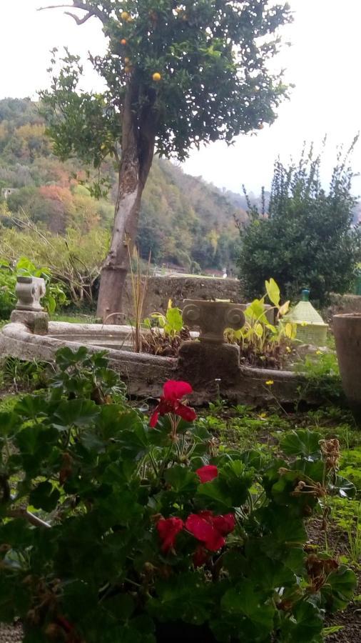 Bed and Breakfast L'Antico Giardino Виетри Экстерьер фото
